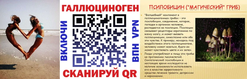 Псилоцибиновые грибы Magic Shrooms  Купить  Бугульма 